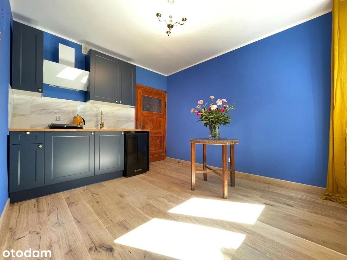 Apartament Kraszewskiego - Retro, Blisko Starowki, Kolo Parku, Ogrod Dla Gosci, Rowery Free Stary Toruń Exterior foto